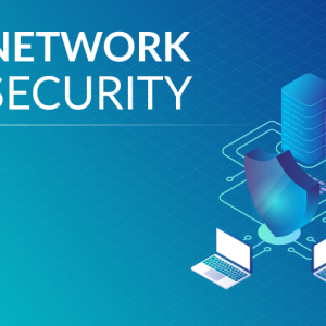Network Security Fundamentals for IT Professionals