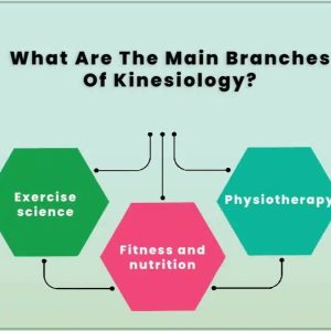 Exercise Science and Kinesiology Basics