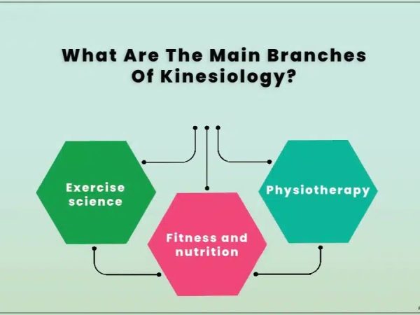Exercise Science and Kinesiology Basics